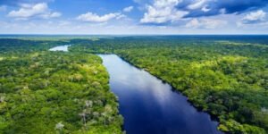 Amazon’da Çok Şaşırtıcı Antik Yerleşimler Keşfedildi